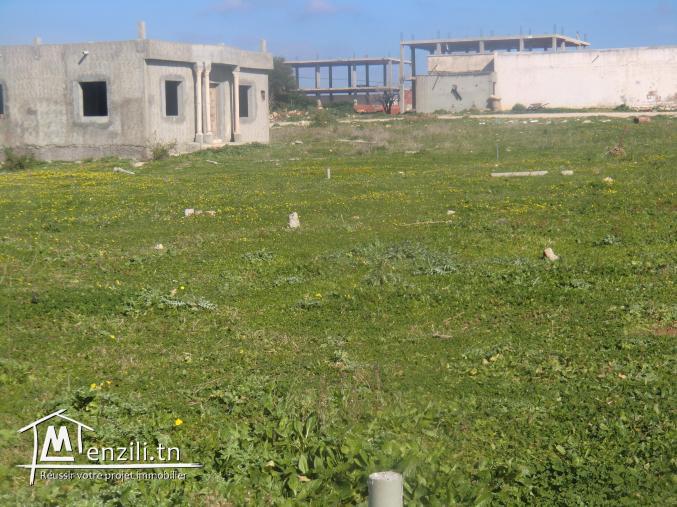 lottisement dar allouch 120dt le m²