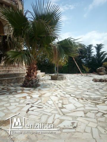 Belle villa plus hangar sur trois hectares arboré a béja