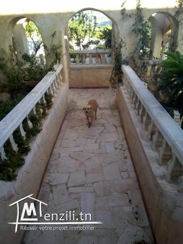 Belle villa plus hangar sur trois hectares arboré a béja