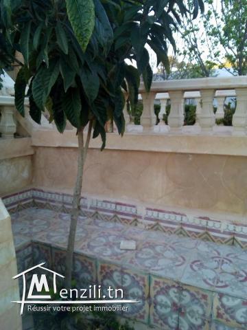 Belle villa plus hangar sur trois hectares arboré a béja