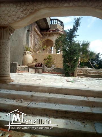 Belle villa plus hangar sur trois hectares arboré a béja