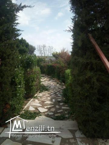 Belle villa plus hangar sur trois hectares arboré a béja