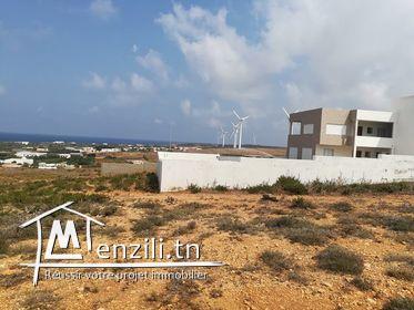 Terrain situés dans une zone idéale très calme