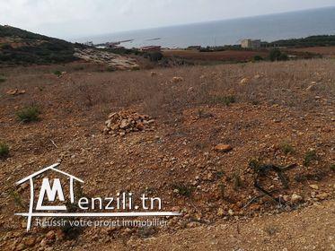 Terrain situés dans une zone idéale très calme