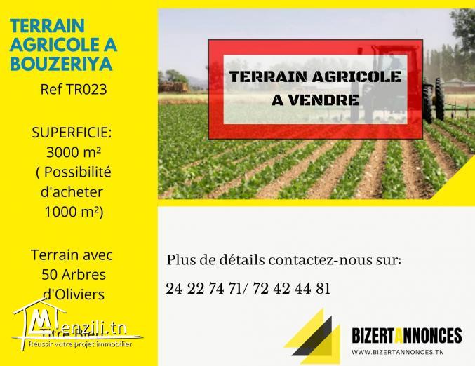 à vendre, terrain agricole à Bouzaria Bizerte.