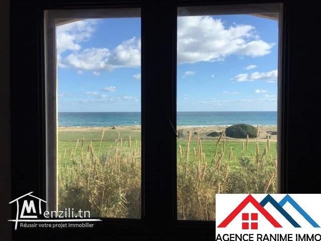 Terrain de 714m2 pieds ds l’eau a el haouaria cap bon