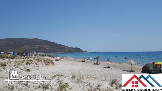 Terrain de 714m2 pieds ds l’eau a el haouaria cap bon