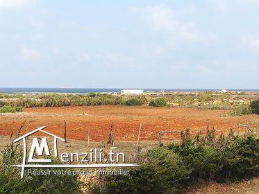 Un Terrain situés dans une zone idéale très calme très proche de la mer