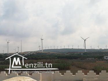 Un Terrain situés dans une zone idéale très calme très proche de la mer