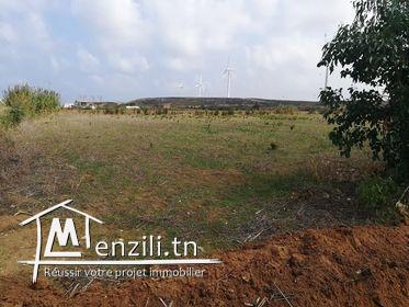 Un Terrain situés dans une zone idéale très calme très proche de la mer