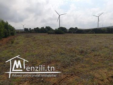 Un Terrain situés dans une zone idéale très calme très proche de la mer