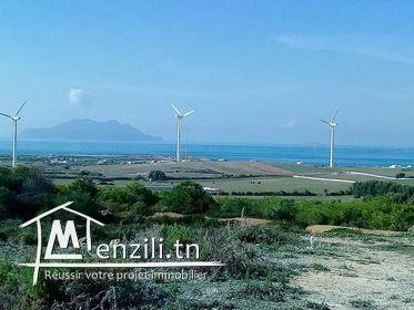 Un Terrain situés dans une zone idéale très calme très proche de la mer