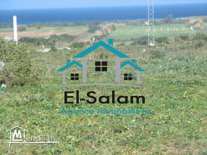 666m² vu pânoramique a la plage et ouvert sur 3 routes