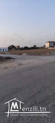 kelibia la blanche 500 m a la plage sidi mansoura petit paris