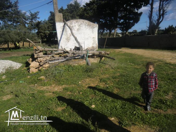 6900m² situé a dar allouch titre bleu