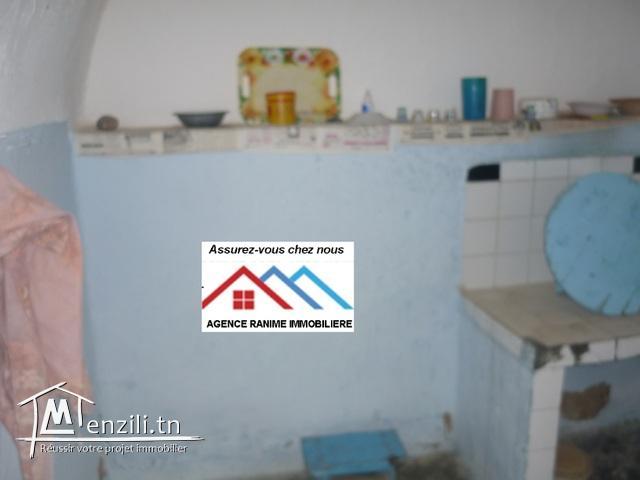 Maison style arbi ds 300m2 a el haouaria ville