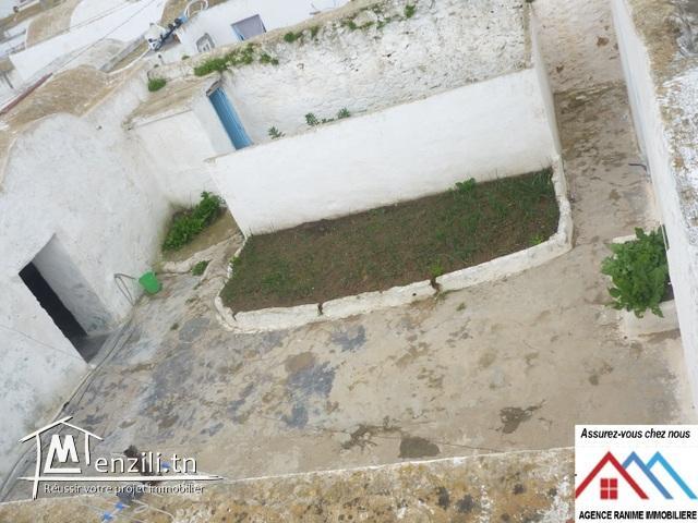 Maison style arbi ds 300m2 a el haouaria ville