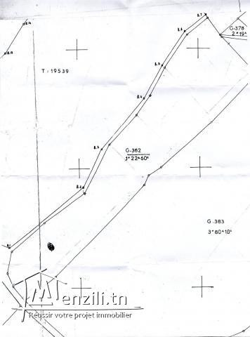 A Vendre terrain Blanc Lotissement ( Titre Bleu )