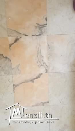 villas neuves au lac 1