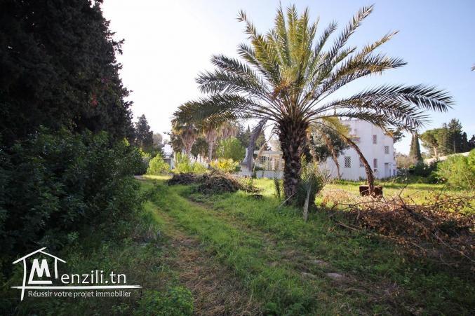 Belle bâtisse à la Soukra