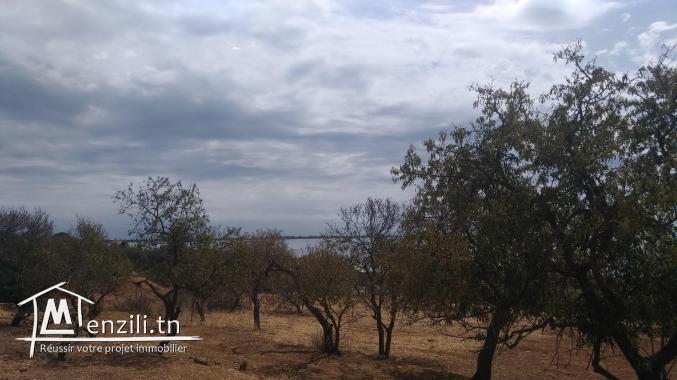 Chalet et terrain à Ghar El Melh à vendre