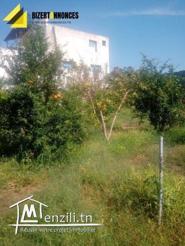 لبيع فيرمة جميلة جدا في العريب بنزرت