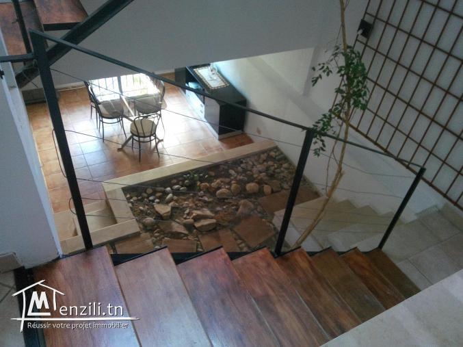 Vente villa de 480 m²