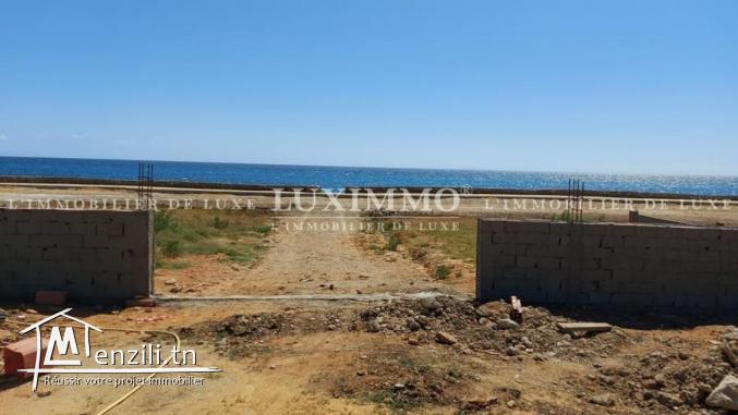 Terrain à vendre à kerkouene (kélibia)