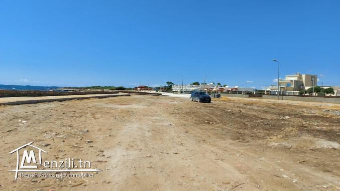 Terrain à vendre à kerkouene (kélibia)
