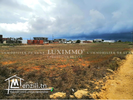 Terrain à dar 3allouche (kélibia) 27711280