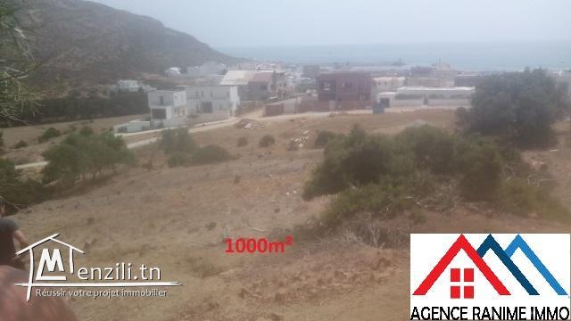 Terrain 1000m² a la plage d’el haouaria 8045