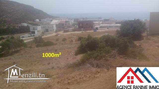 Terrain 1000m² a la plage d’el haouaria 8045