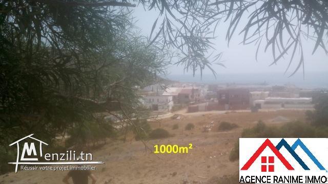 Terrain 1000m² a la plage d’el haouaria 8045