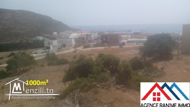 Terrain 1000m² a la plage d’el haouaria 8045