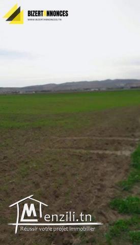 A vendre un beau terrain agricole à Hriza Alia Bizerte