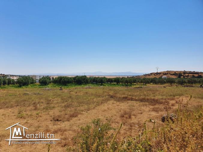 Terrain viabilisé à Bullarigia, Jendouba Nord