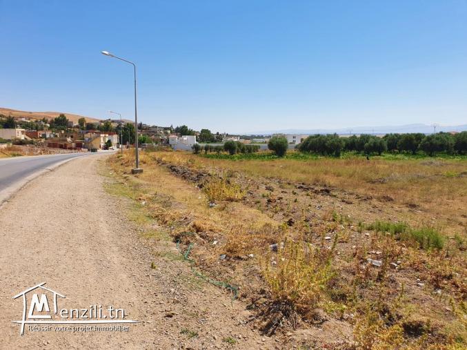 Terrain viabilisé à Bullarigia, Jendouba Nord