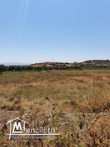Terrain viabilisé à Bullarigia, Jendouba Nord
