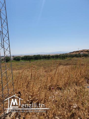 Terrain viabilisé à Bullarigia, Jendouba Nord