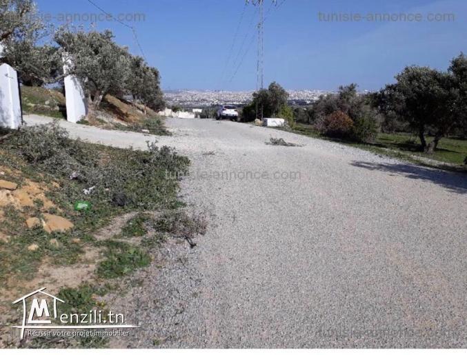 Terrain vide à Sanheja