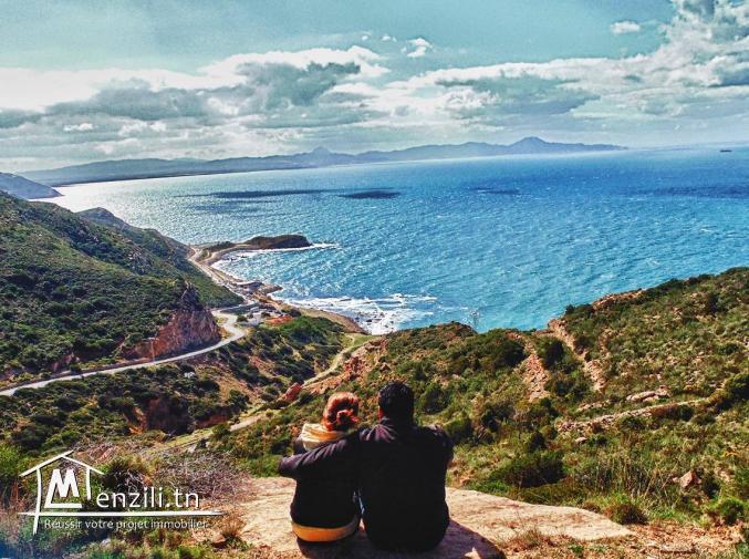 A Vendre un lot de terrain usage commerciale animation