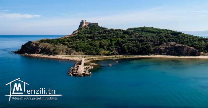 A Vendre un lot de terrain usage commerciale animation