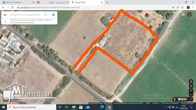 سانية صغيرة في أحواز الهوارية