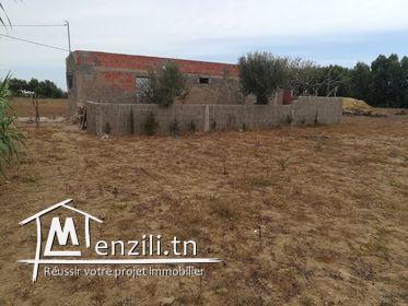 سانية صغيرة في أحواز الهوارية