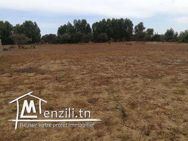 سانية صغيرة في أحواز الهوارية