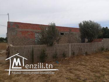 سانية صغيرة في أحواز الهوارية