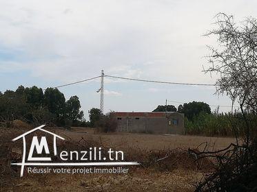 سانية صغيرة في أحواز الهوارية