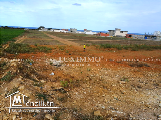 terrain à vendre à dar 3allouche (kélibia) 27711280