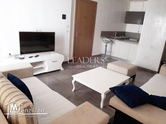 appartement s+1 à lac 2