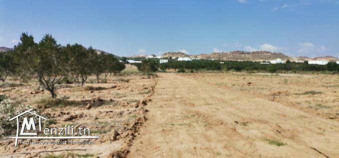 des terrains pour investissements et habitation